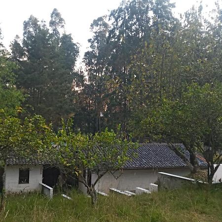 Quinta Los Eucaliptos Villa Quito Eksteriør billede